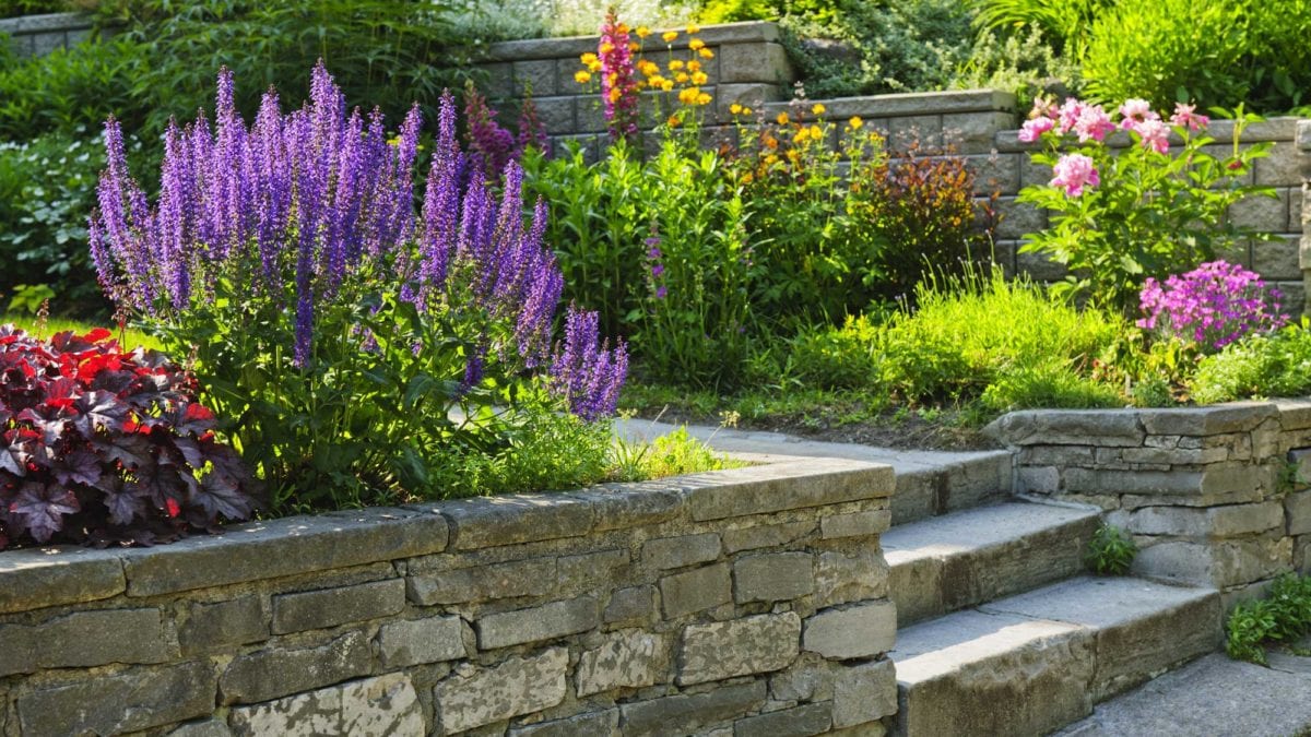 Landscape Maintenance